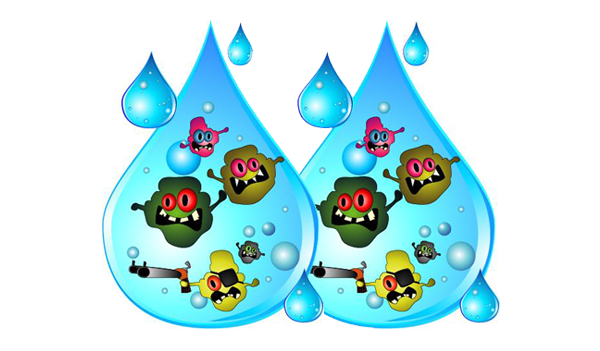 Preventing Waterborne Diseases, Bacteria, Viruses and Cysts